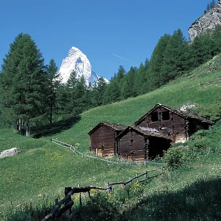 Appartamento Pasadena-4 By Interhome Zermatt